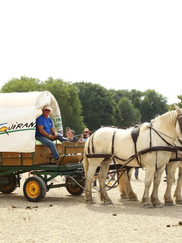 Les actualités Office de Tourisme de l'Anjou Bleu