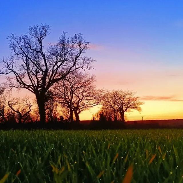 Instagram #anjoubleu
