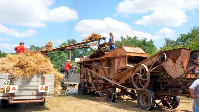 Fête des MOISSON SGM