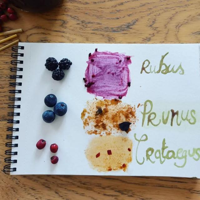 Instagram #anjoubleu