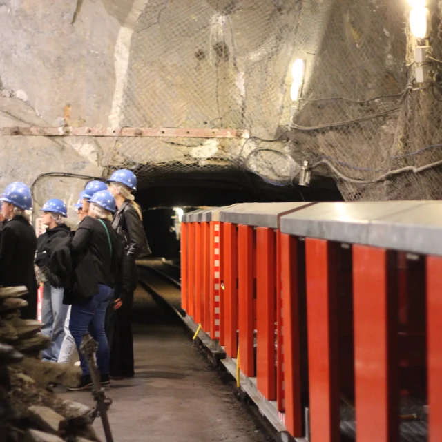 La Mine Bleue Train 3 Gwladys Fougeron