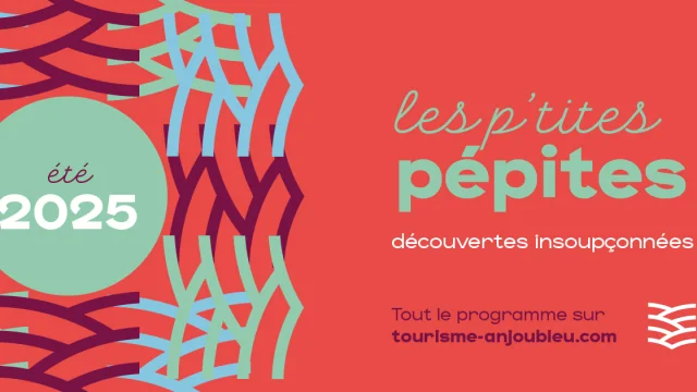 Les Petites Pepites E╠ute╠u25 Fb Couverture