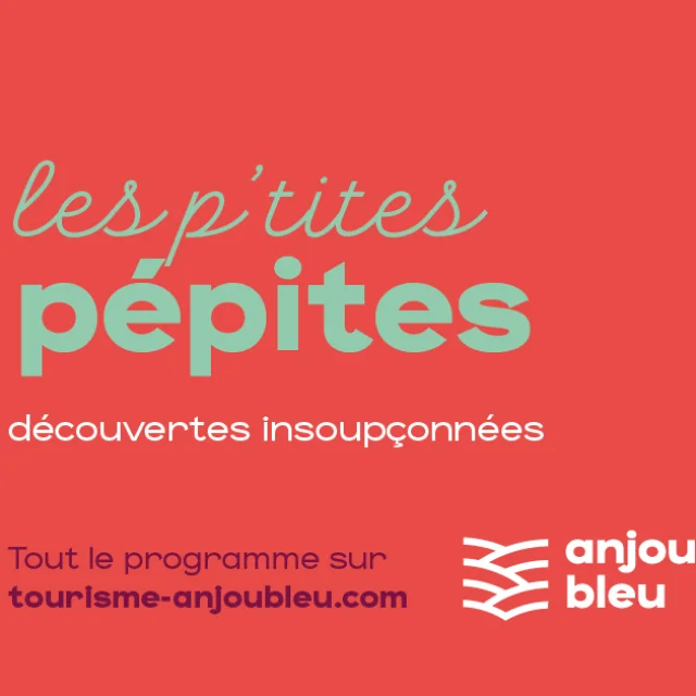Les Petites Pepites E╠ute╠u25 Fb Couverture