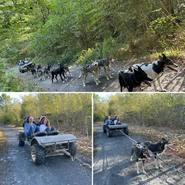 Instagram #anjoubleu