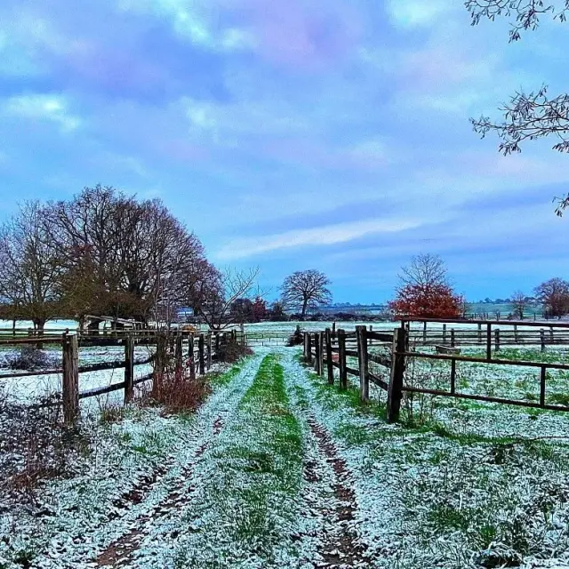 Instagram #anjoubleu