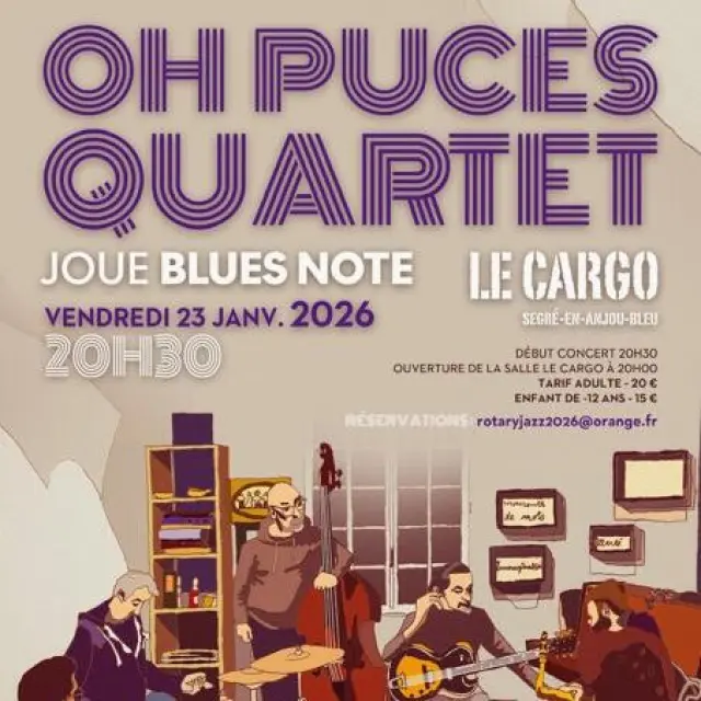 Instagram #anjoubleu