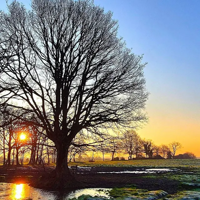 Instagram #anjoubleu