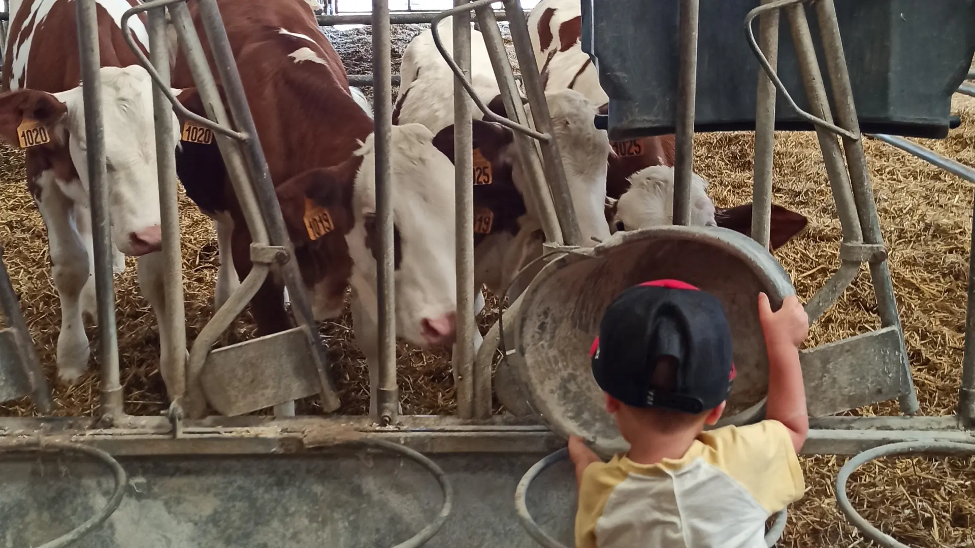 Ppete2023 Lgbiorpicaut 17