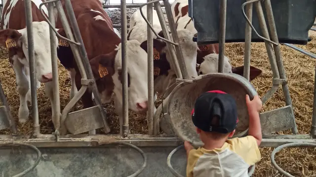 Ppete2023 Lgbiorpicaut 17