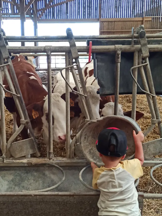 Ppete2023 Lgbiorpicaut 17