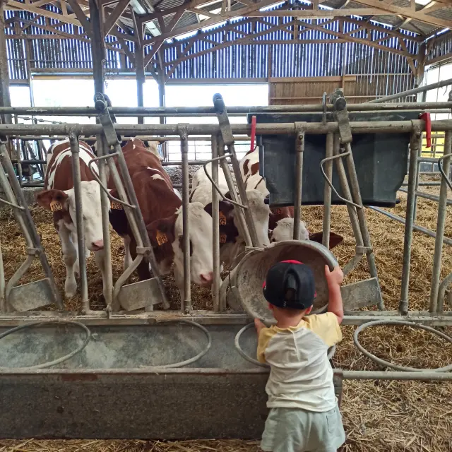 Ppete2023 Lgbiorpicaut 17