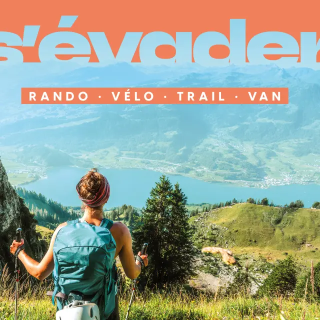 A3 Dn Vertical Rando