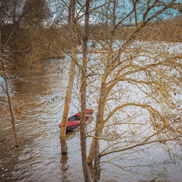 Instagram #anjoubleu