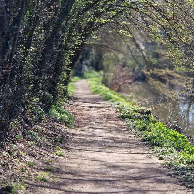 Instagram #anjoubleu