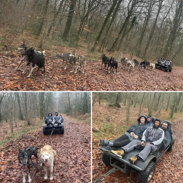 Instagram #anjoubleu