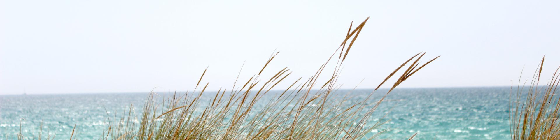 Beach Dawn Dune 662994