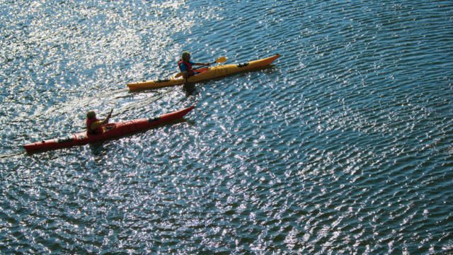 Kayaks