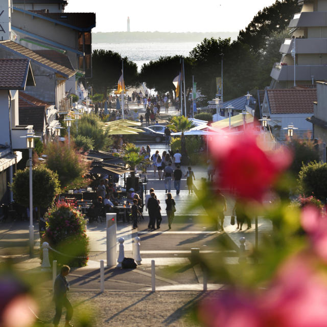 Photo Arcachon 2010 192