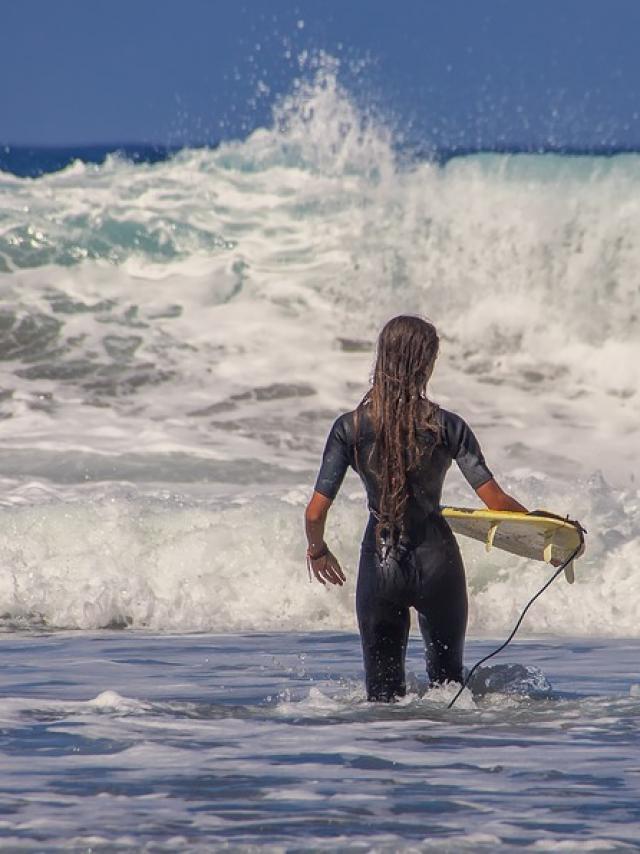 Analogicus De Pixabay