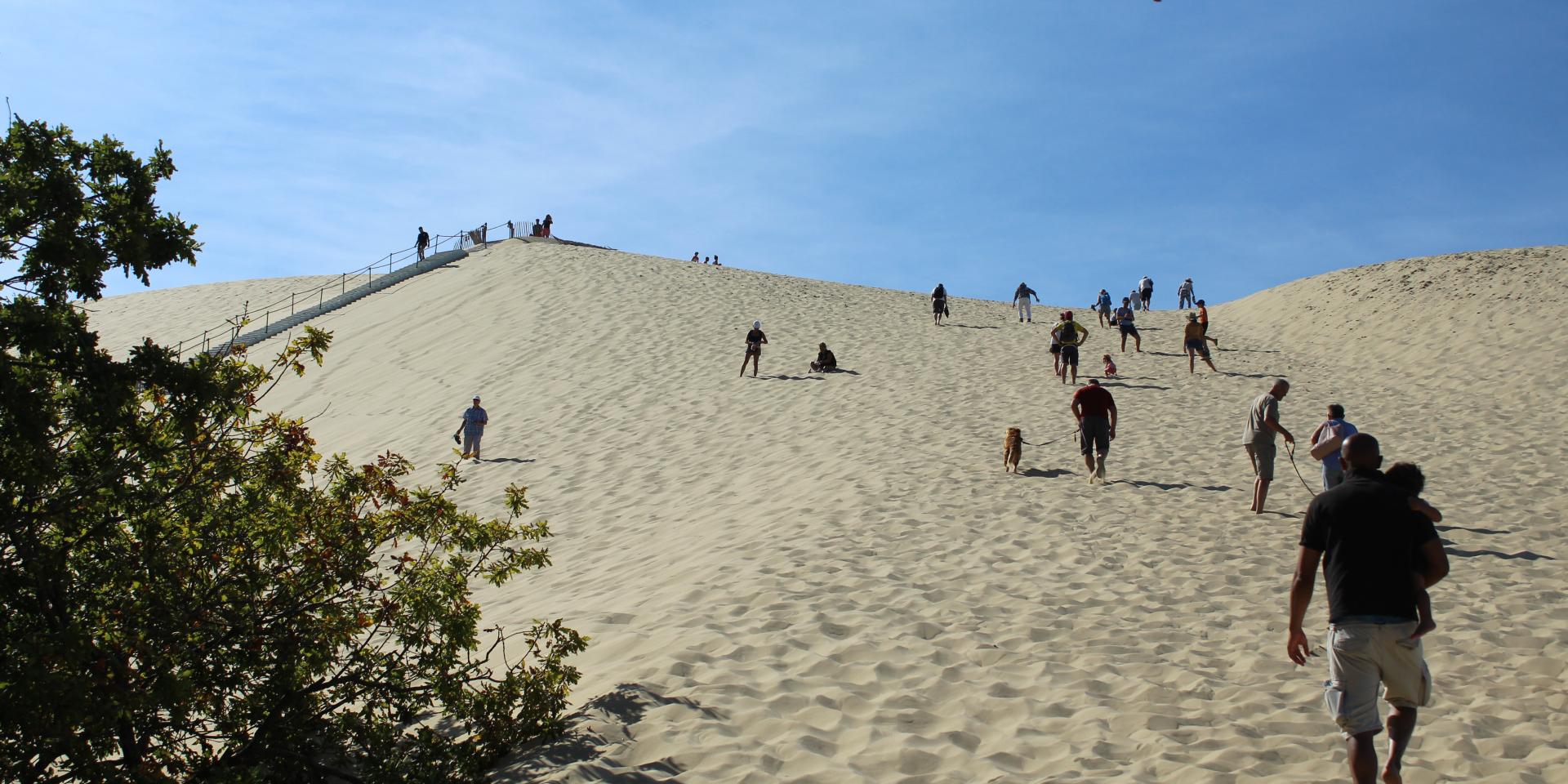 dune