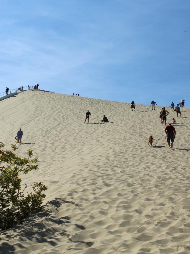 dune