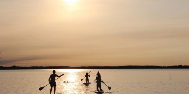 Stand Up Paddle