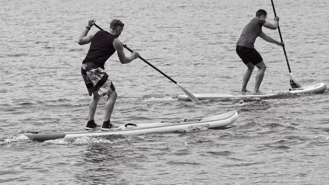 Stand Up Paddle