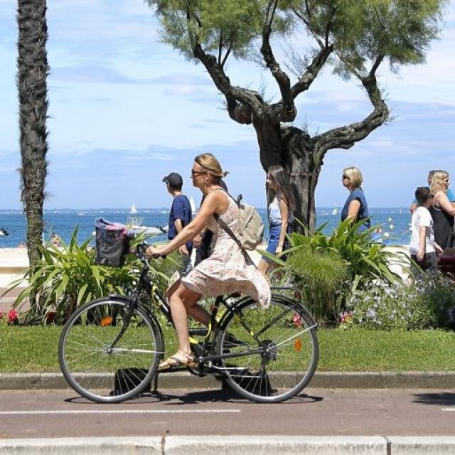 Velo
