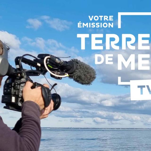 terre-de-mers.jpg