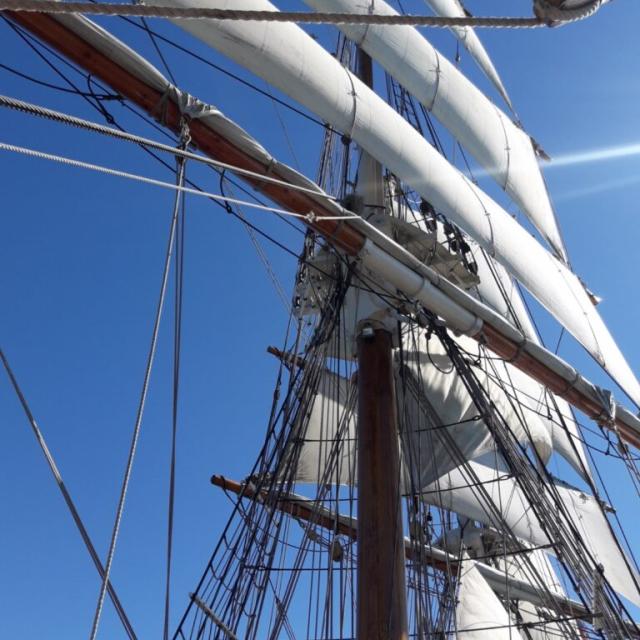 Voiles Gonflees 768x1024 1