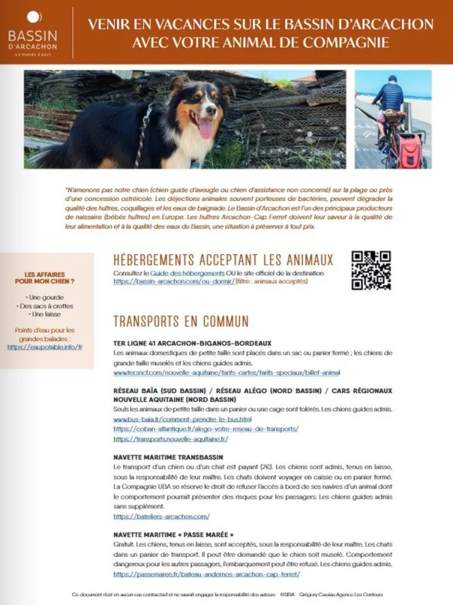 Tiere Becken 2025