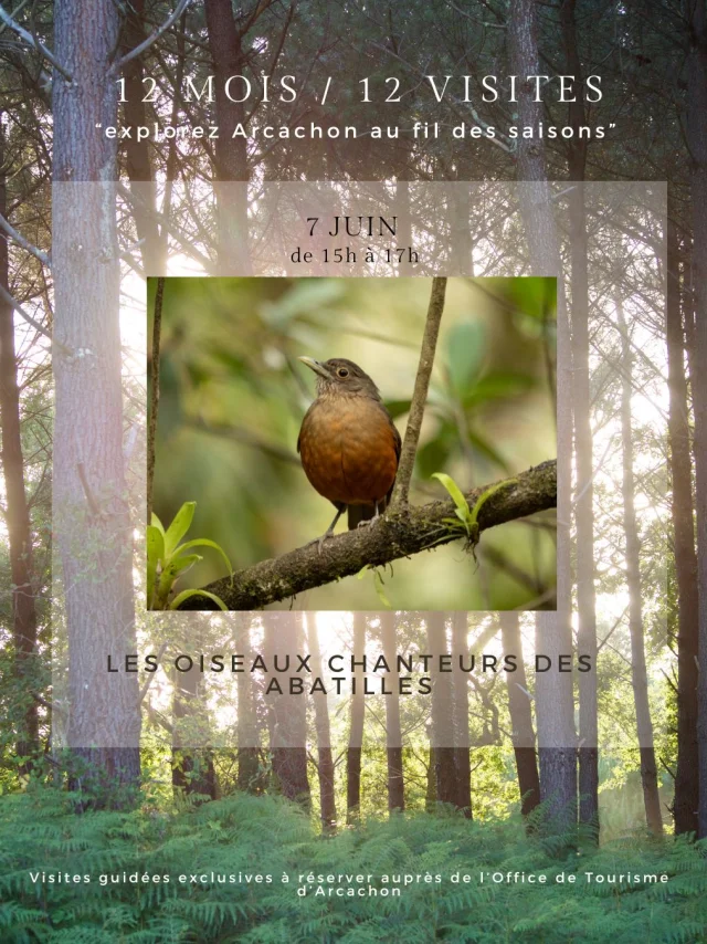 Format Reseaux 6