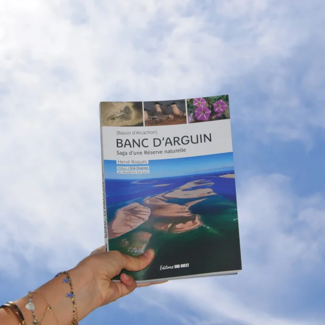 Boutique Ot Melanie Noaillet 22