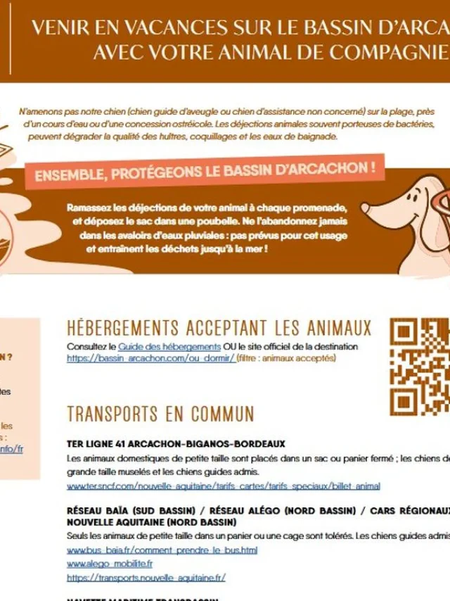 Animaux Sur Le Bassin