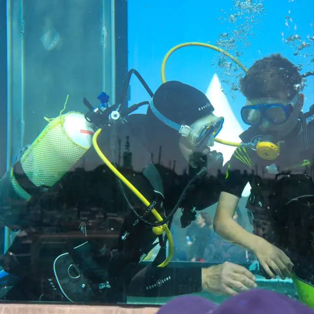 Port Asn Animplongee