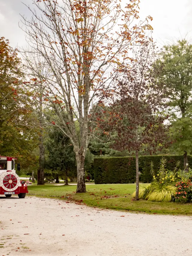 Ville Dhiver Petit Train Kevin Biette 3