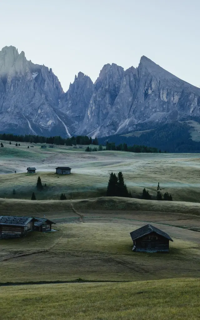 Addon Starter Image 3