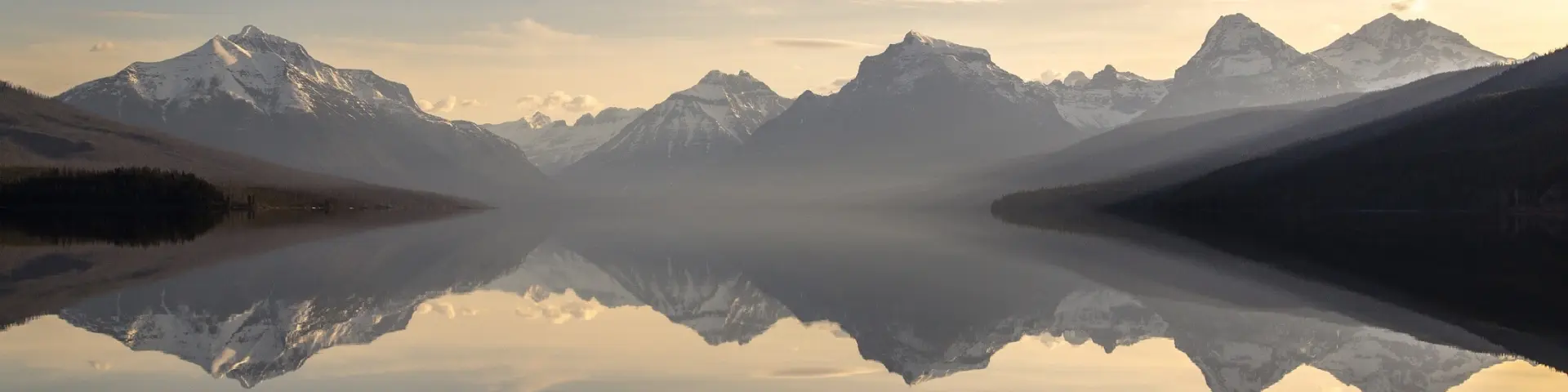 Addon Starter Image 7