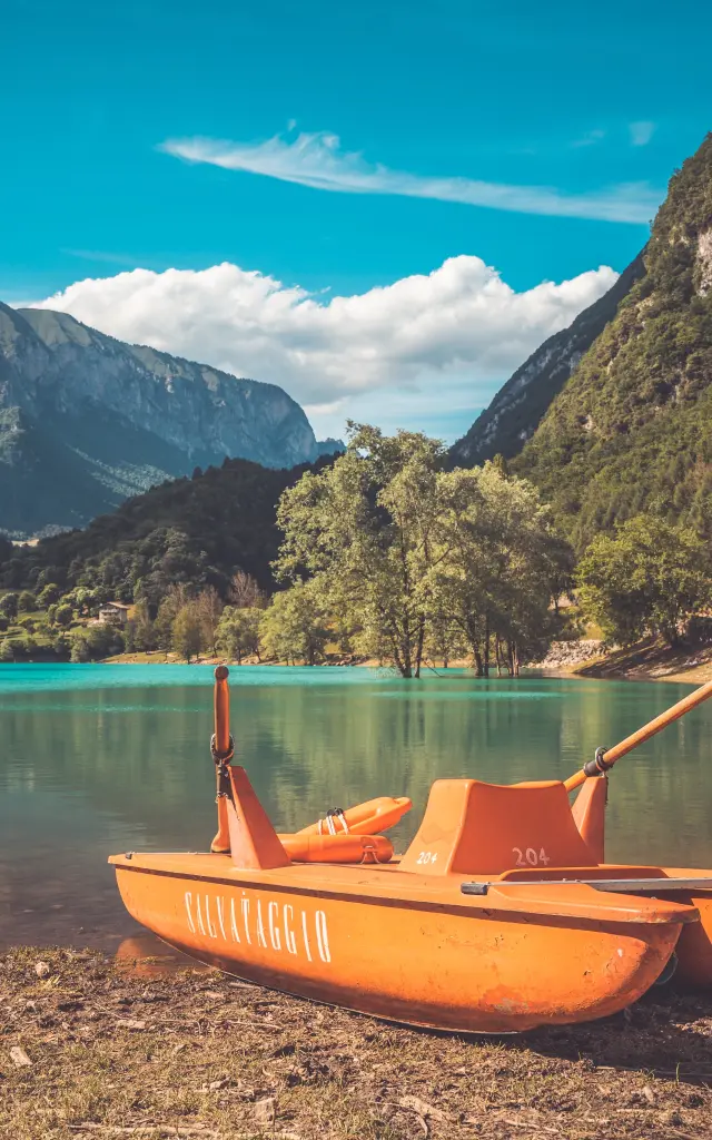 Addon Starter Image 5