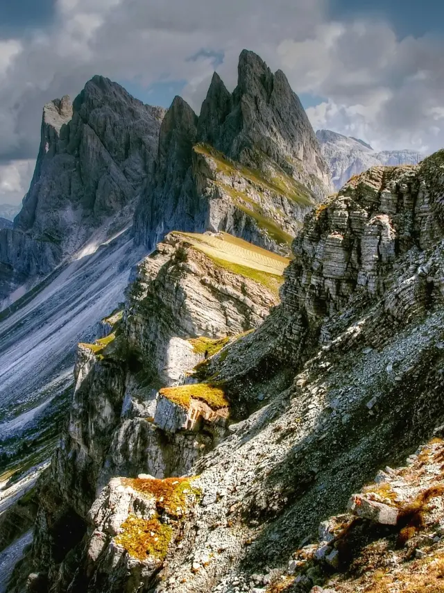 Addon Starter Image 9