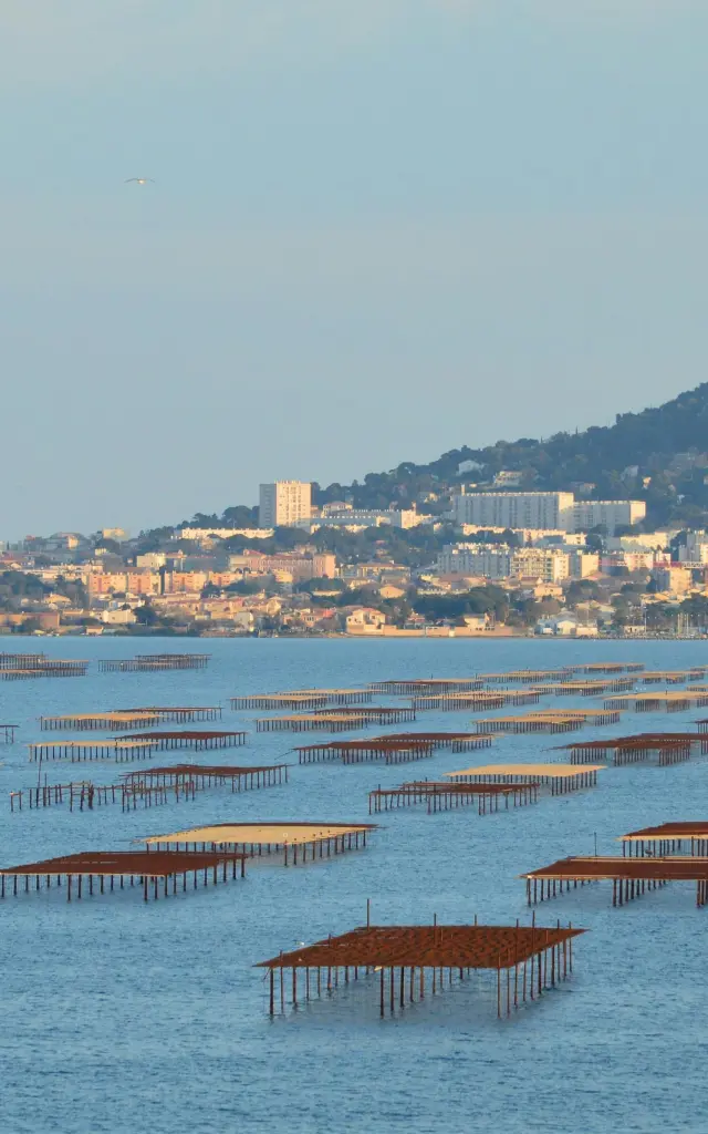 Pexels Slimmars 13 197677686 31667544