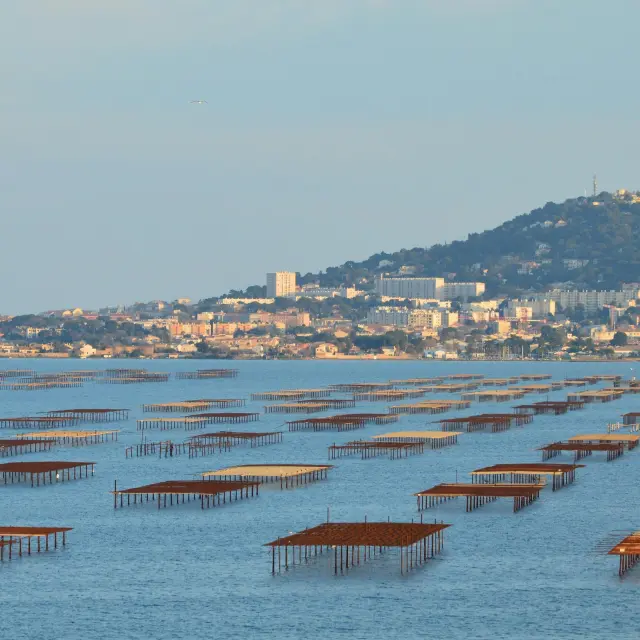 Pexels Slimmars 13 197677686 31667544