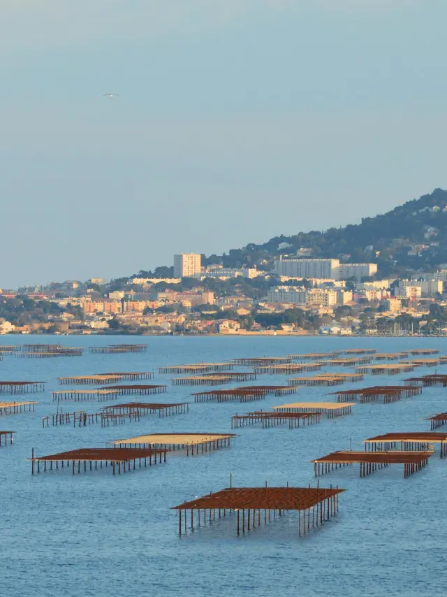 Pexels Slimmars 13 197677686 31667544