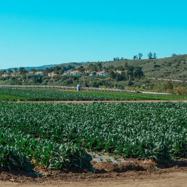 Pexels Kindelmedia 7457035