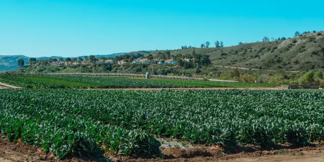 Pexels Kindelmedia 7457035