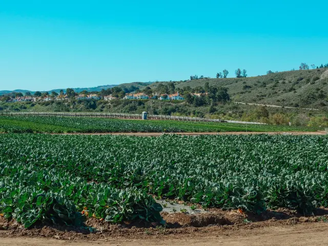 Pexels Kindelmedia 7457035