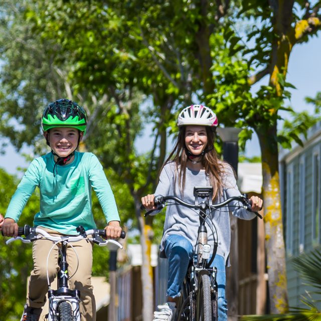 Vélos dans les allées du camping, arbre, bungalow