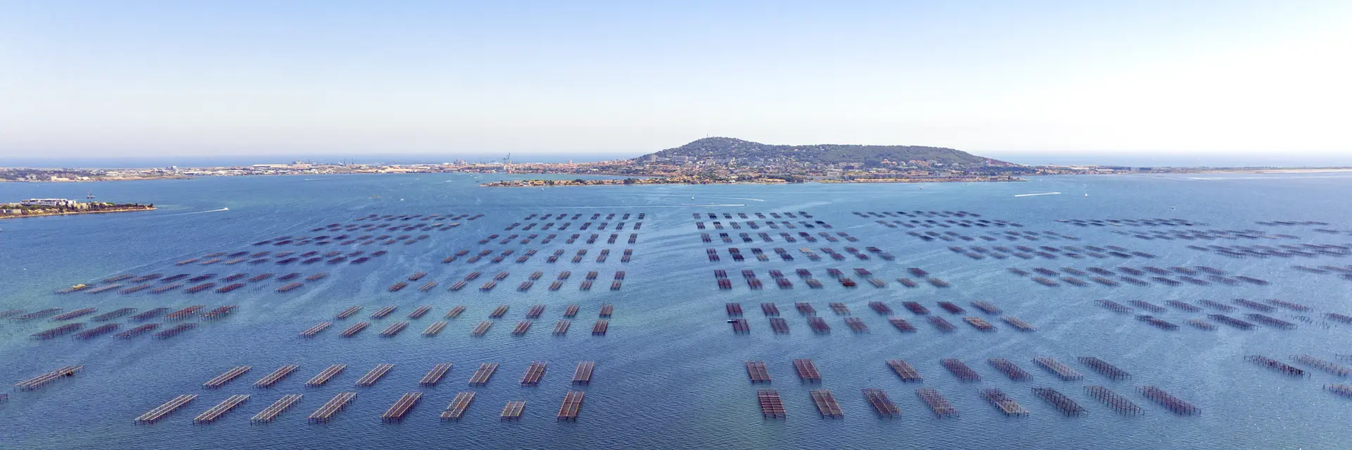 Vue sur Sète depuis Bouzigues