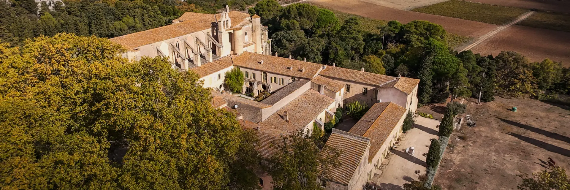 L'abbaye de Valmagne en automne, vue aérienne, drone, cloître, architecture, paysage, campagne, vignes, arbres, végétation, nature, patrimoine, bâtiments, environnement, extérieur, horizontal