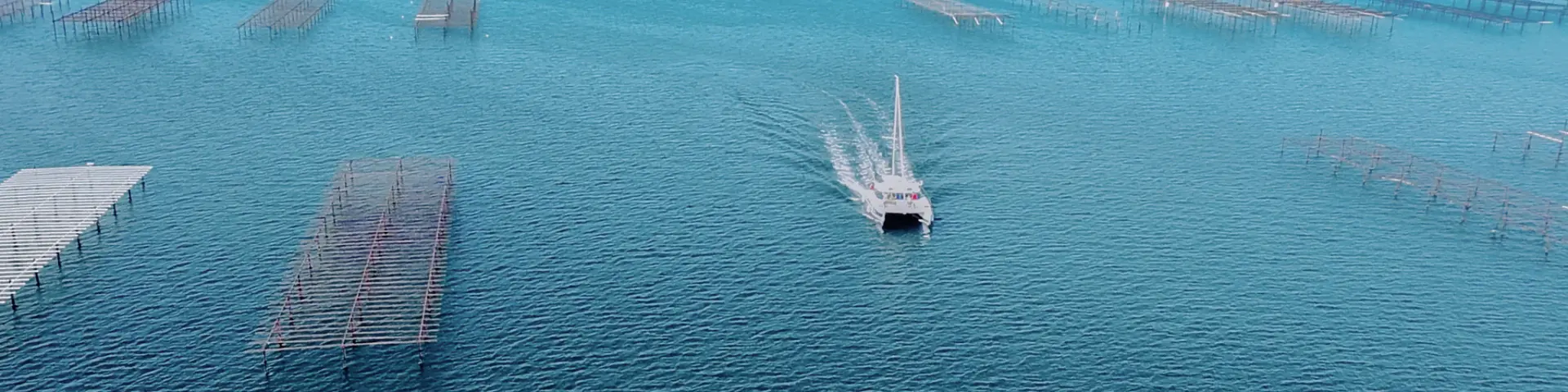 Visite des parcs à huites avec le Mansathau, étang de Thau, vue aérienne, drone, parcs à huîtres, bateau, sillage, lagune, paysage, activité conchylicole, nature, extérieur, horizontal, bateau